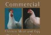 Commercial Chicken Meat and Egg Production 5th Edition PDF