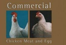 Commercial Chicken Meat and Egg Production 5th Edition PDF