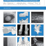 Diagnostic Radiology in Small Animal Practice 2nd Edition