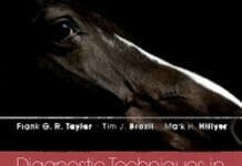 Diagnostic Techniques in Equine Medicine 2nd Edition PDF