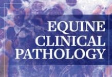 Equine Clinical Pathology PDF