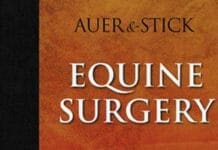 Equine Surgery 4th Edition PDF By Jörg A. Auer and John A. Stick
