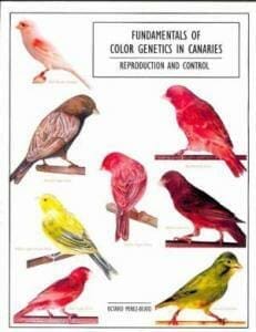 Fundamentals Of Color Genetics In Canaries Reproduction And Control