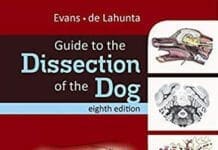 Guide to the Dissection of the Dog 8th Edition PDF