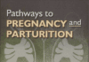 pathways to pregnancy and parturition pdf