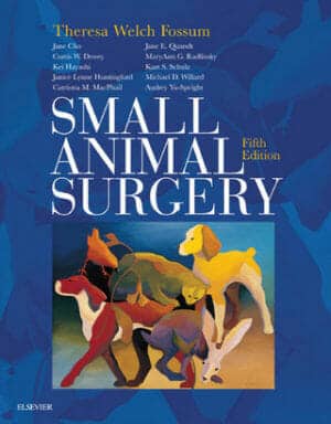 Small Animal Surgery 5Th Edition Small Animal Surgery 5Th Edition Pdf