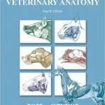 Textbook of Veterinary Anatomy pdf