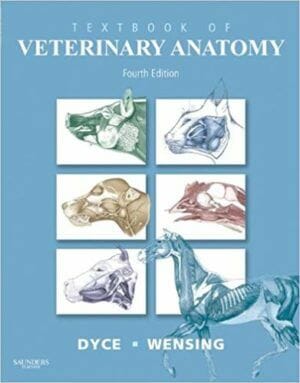 Textbook of Veterinary Anatomy 4th Edition PDF | Vet eBooks