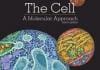 The Cell A Molecular Approach 7th edition pdf