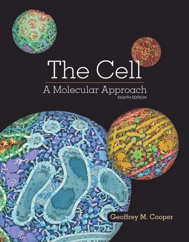 The Cell A Molecular Approach 7th edition
