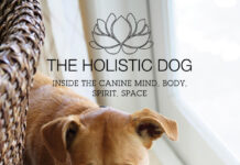 The Holistic Dog: Inside the Canine Mind, Body, Spirit, Space PDF
