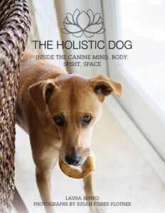 The Holistic Dog: Inside the Canine Mind, Body, Spirit, Space PDF