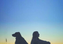 Understanding The Silent Communication of Dogs PDF