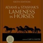 Adams and Stashak's Lameness in Horses 6th Edition PDF