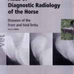 Atlas of Diagnostic Radiology of the Horse: Diseases of the Front and Hind Limbs 2nd Edition By Kees Dik and Ilona Gunsser