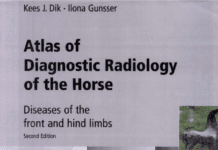 Atlas of Diagnostic Radiology of the Horse: Diseases of the Front and Hind Limbs 2nd Edition By Kees Dik and Ilona Gunsser