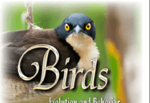 Birds-Evolution and Behavior Breeding Strategies Migration and Spread of Disease Birds-Evolution and Behavior Breeding Strategies Migration and Spread of Disease PDF