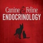 Canine and Feline Endocrinology 4th edition PDF