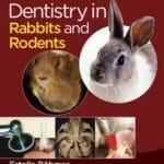 Dentistry in Rabbits and Rodents PDF