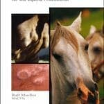 Dermatology for the Equine Practitioner PDF