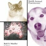 Dermatology for the Small Animal Practitioner PDF