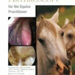 Equine Endoscopy and Arthroscopy for the Equine Practitioner PDF