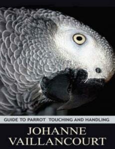 Guide To Parrot Touching And Handling Pdf
