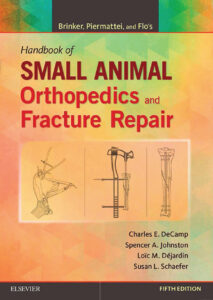 small animal orthopedics and fracture repair pdf
