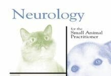 Neurology for the Small Animal Practitioner PDF