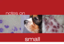Notes on Small Animal Dermatology PDF