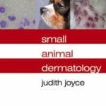 Notes on Small Animal Dermatology PDF 