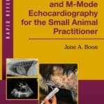 Two-Dimensional and M-Mode Echocardiography for the Small Animal Practitioner 2nd Edition PDF