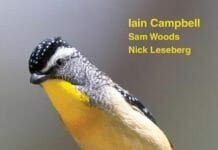 Birds of Australia A Photographic Guide PDF