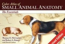 Color Atlas of Small Animal Anatomy: The Essentials PDF