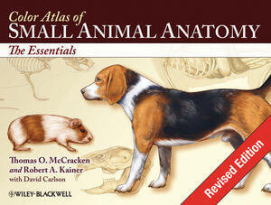 Color Atlas of Small Animal Anatomy: The Essentials PDF | Vet eBooks