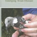 Emerging Avian Disease PDF