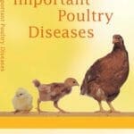 Important Poultry Diseases PDF