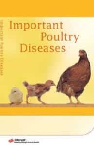 Important Poultry Diseases Pdf