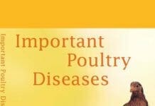 Important Poultry Diseases PDF