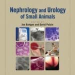 Nephrology and Urology of Small Animals PDF