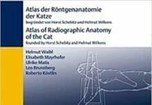 Atlas der Röntgenanatomie der Katze / Atlas of Radiographic Anatomy of the Cat PDF Download