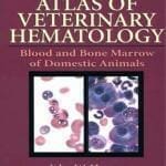 Atlas of Veterinary Hematology: Blood and Bone Marrow of Domestic Animals pdf