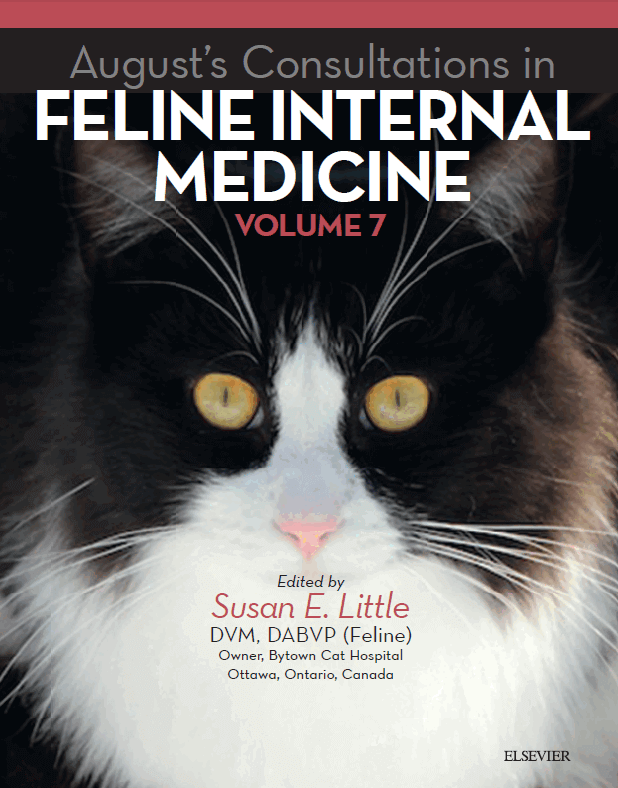 August's Consultations in Feline Internal Medicine, Volume 7 1st Edition
