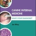Canine Internal Medicine: What's Your Diagnosis? PDF Book
