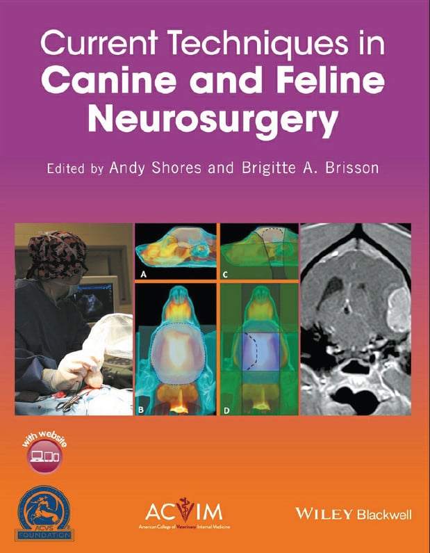 Current Techniques In Canine And Feline Neurosurgery Pdf
