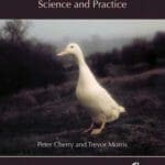Domestic Duck Production: Science and Practice PDF