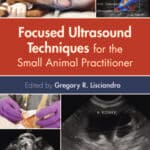 Focused Ultrasound Techniques for the Small Animal Practitioner PDF