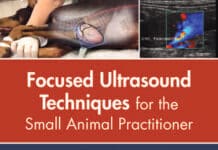 focused ultrasound techniques for the small animal practitioner pdf