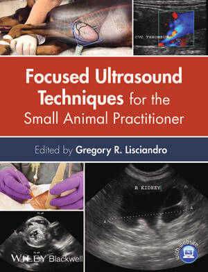 focused ultrasound techniques for the small animal practitioner pdf