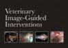 veterinary image-guided interventions pdf